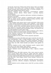www.speros.lt